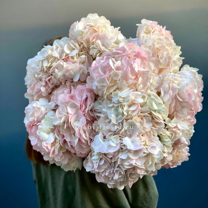 Охапка розовой гортензии в Уфе