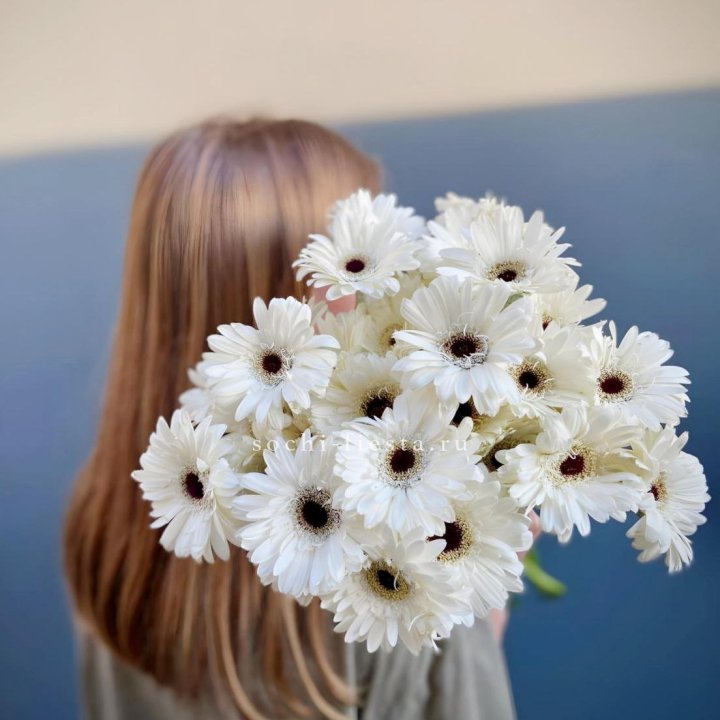 Охапка гербер в Уфе