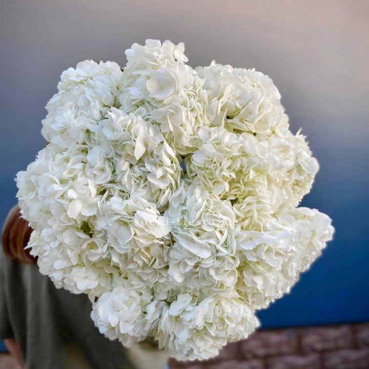 Охапка белой гортензии в Уфе