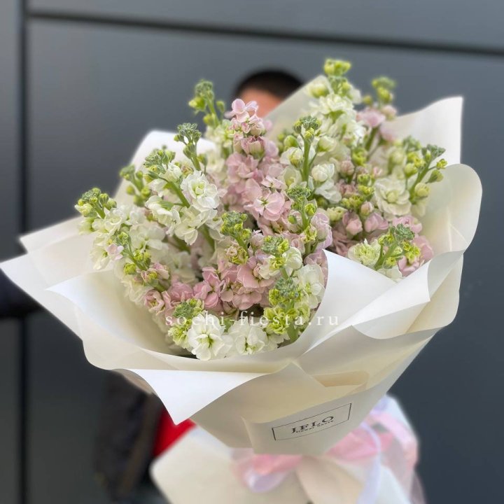 29 маттиол  в Уфе