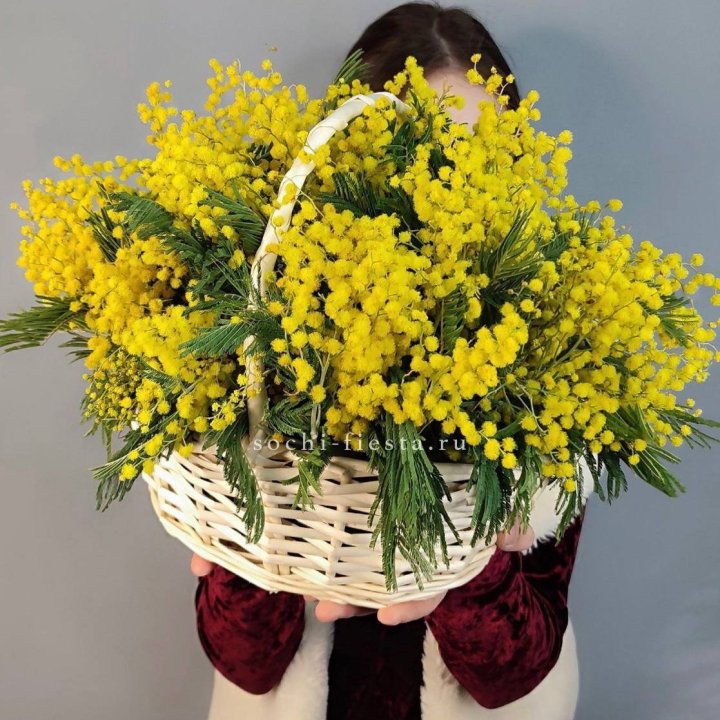 Корзина ароматной мимозы в Уфе