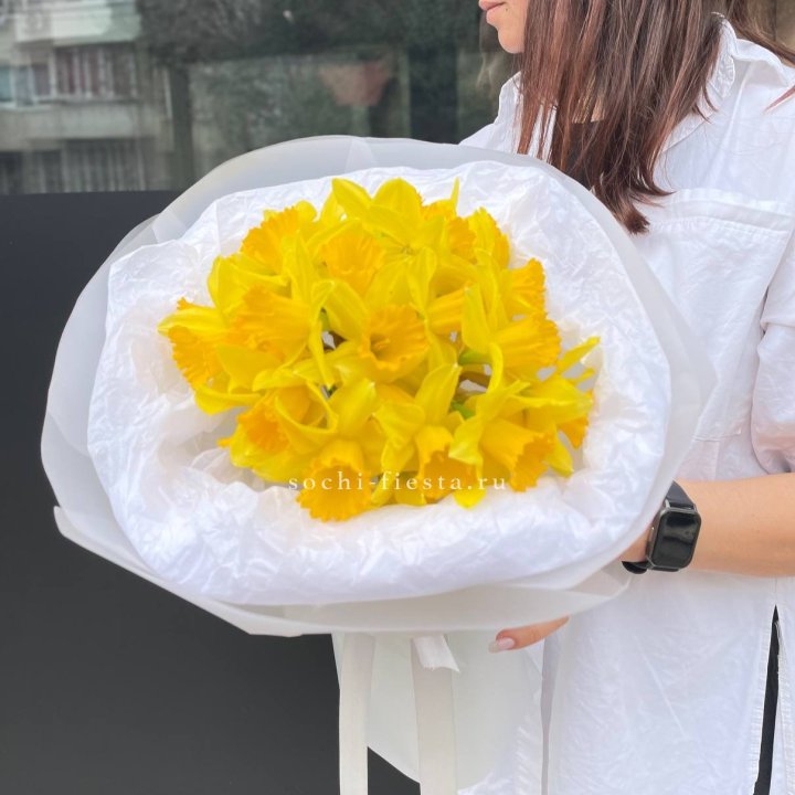 Нарциссы 25 шт в Уфе