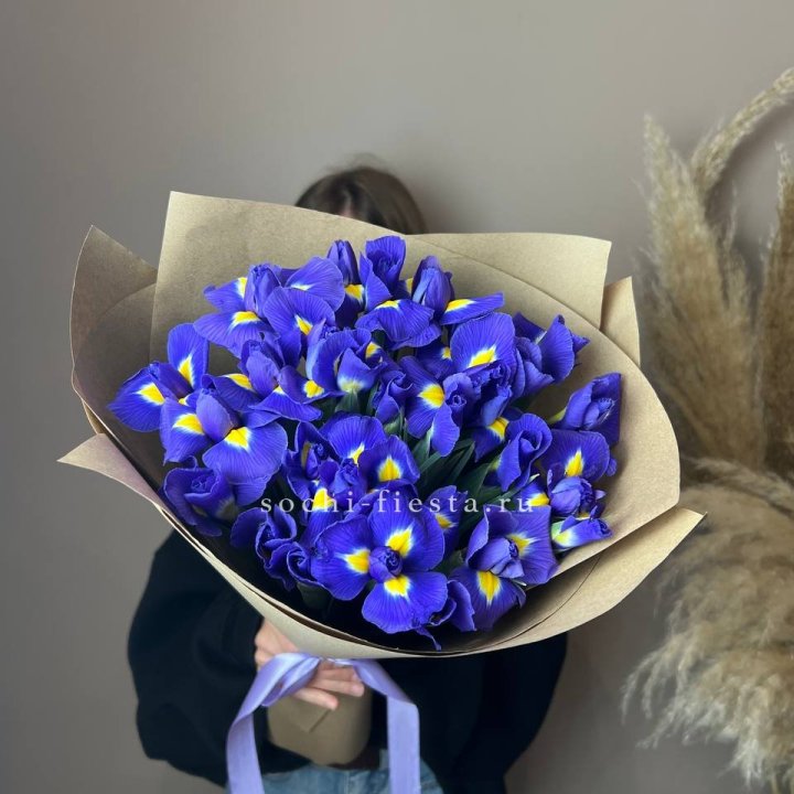 Ирисы в Уфе