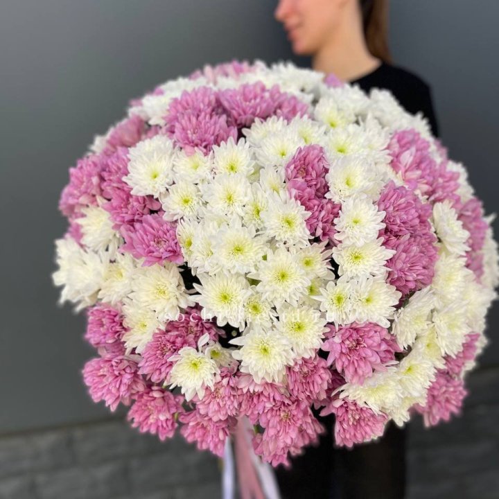  Букет 25 хризантем микс в Уфе