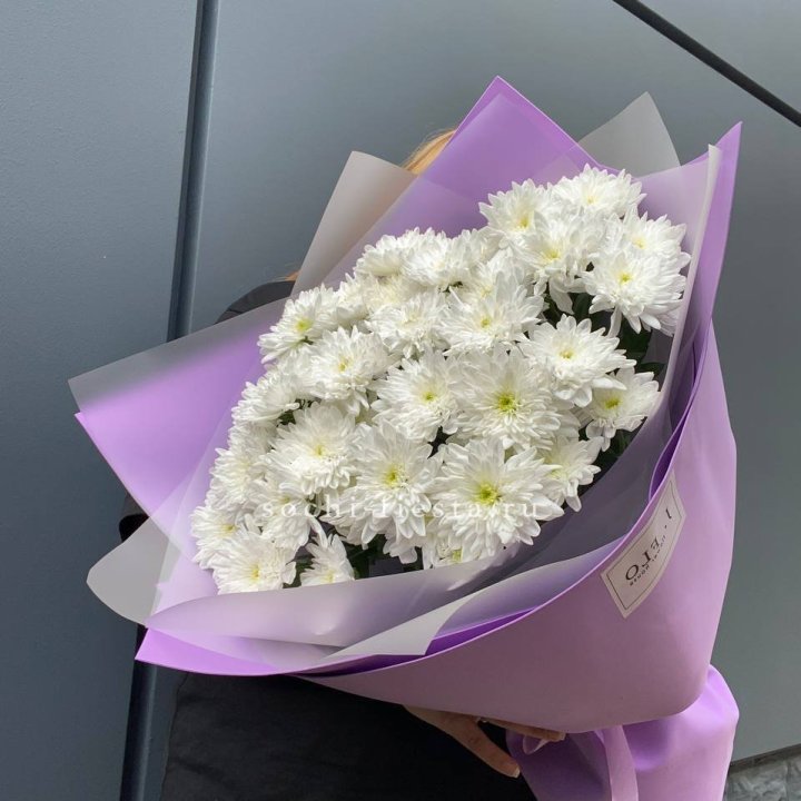  7 хризантем  в Уфе