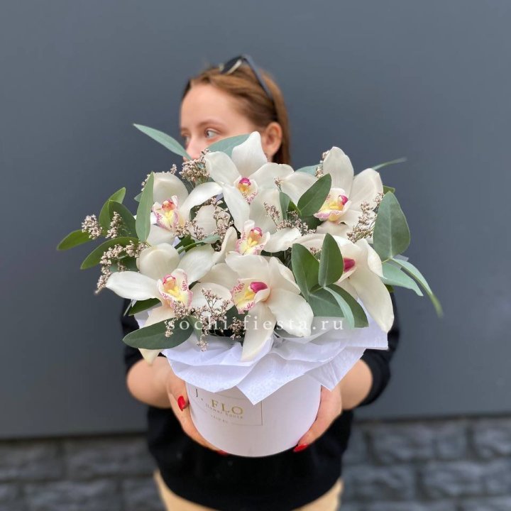 7 орхидей в боксе в Уфе