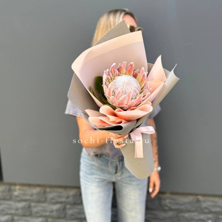 Протея мини  в Уфе