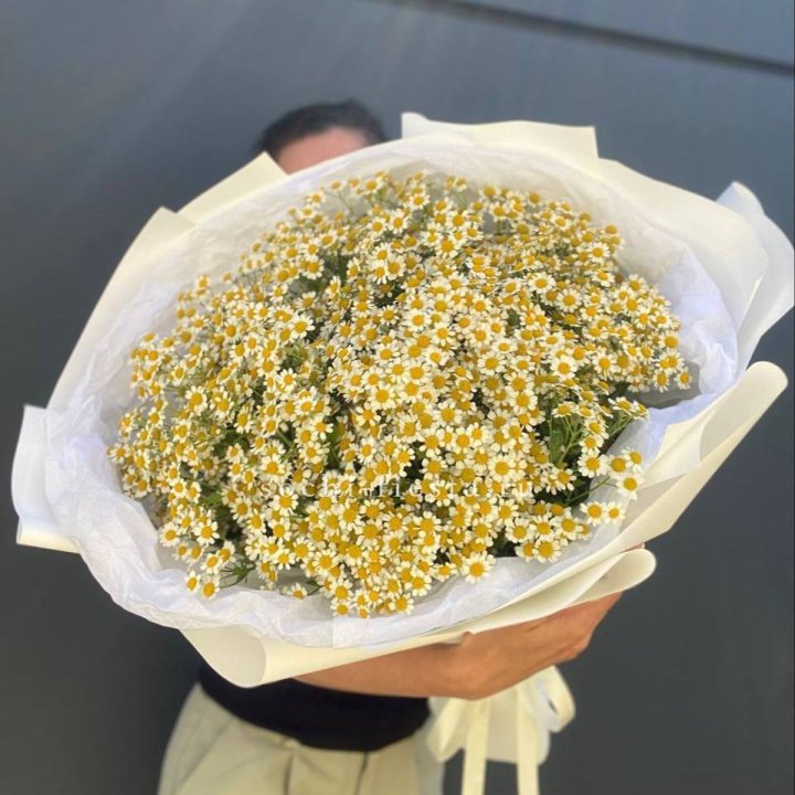Букет ромашек №2 в Уфе