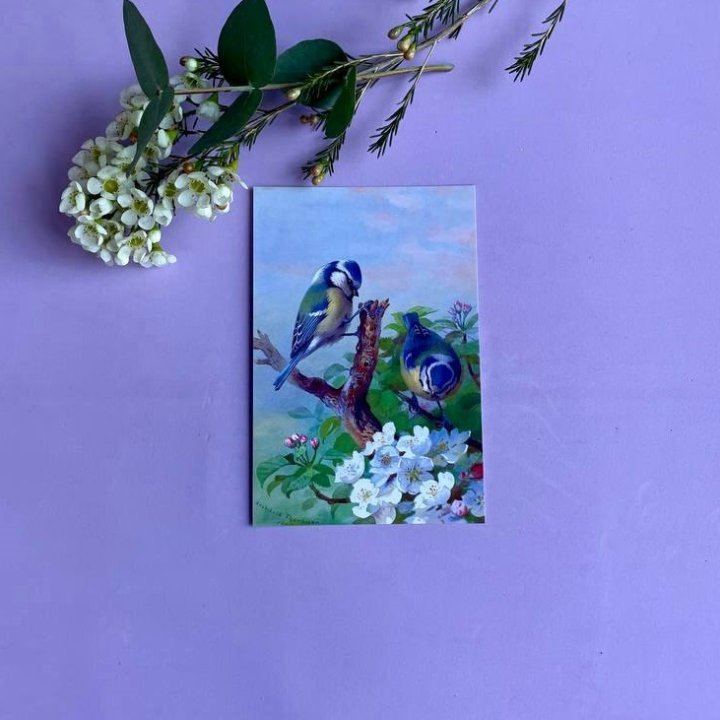 Открытка к букету "Птицы" в Уфе