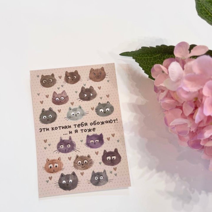 Открытка к букету "Котики" в Уфе