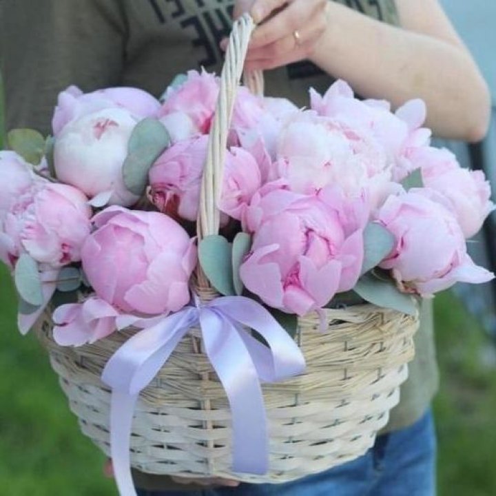 15 пионов в корзине в Уфе