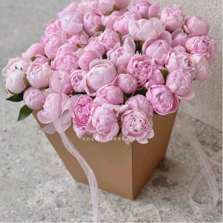 49 пионов в крафт коробке в Уфе