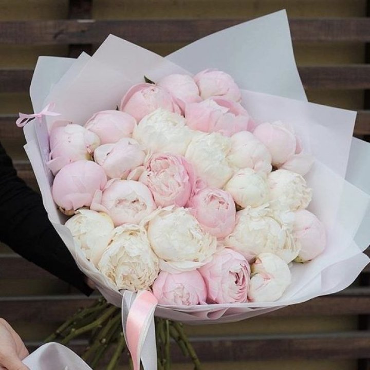 29 пионов в Уфе