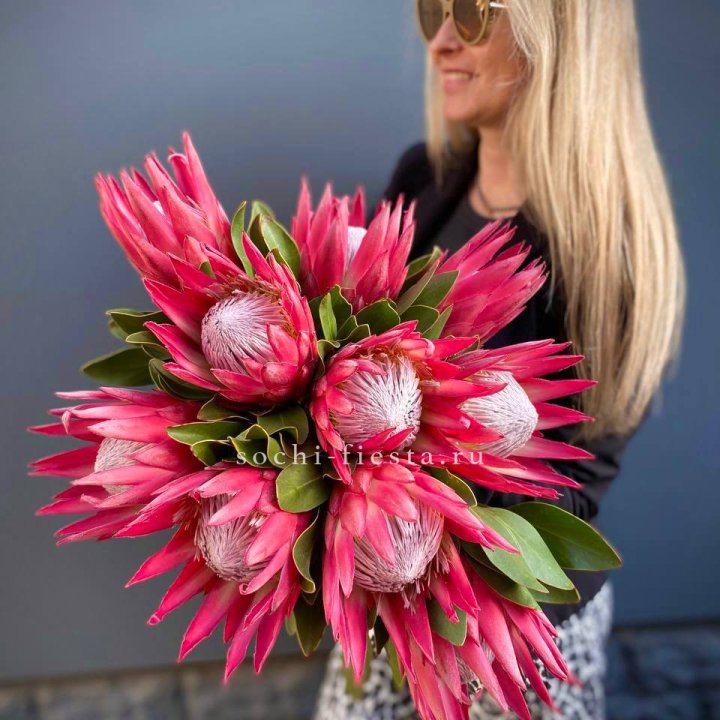 Протея штучно в Уфе
