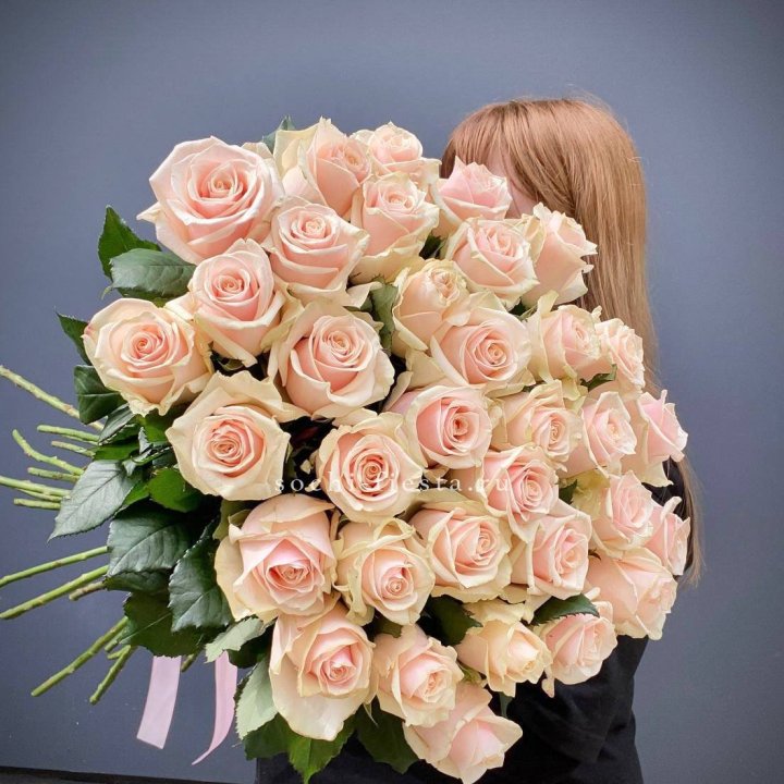 35 кремовых высоких роз в Уфе