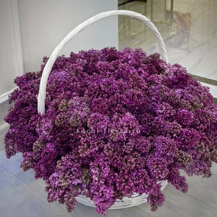 Корзина сирени в Уфе