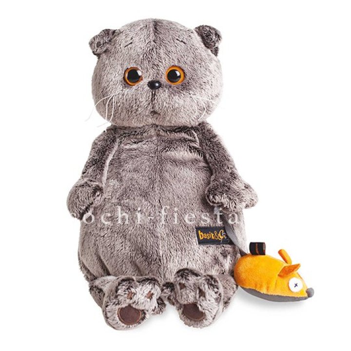 Кот Басик с мышкой в Уфе