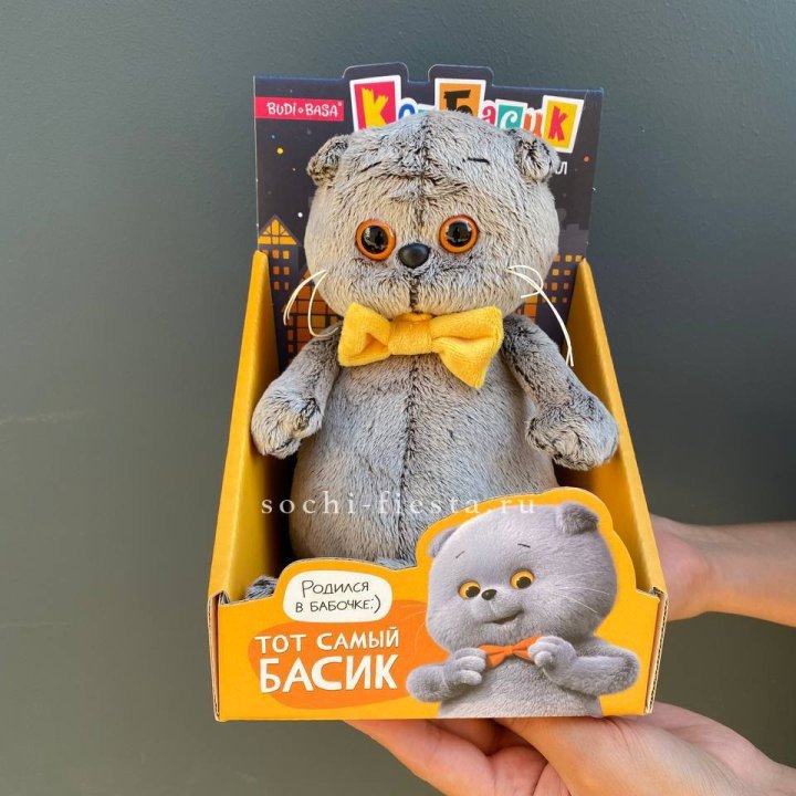 Кот Басик с бабочкой в Уфе