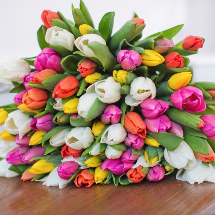 79 тюльпанов "Рандом" в Уфе