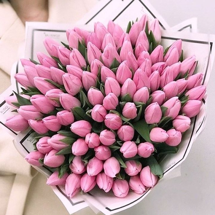101 розовый тюльпан в белом в Уфе