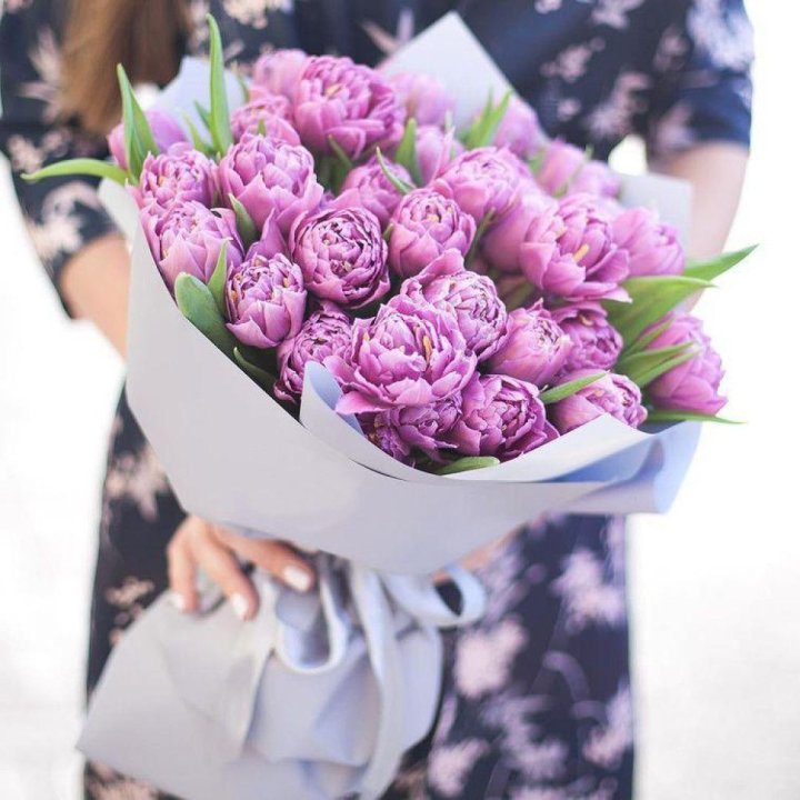 Тюльпаны "Пионс" в Уфе