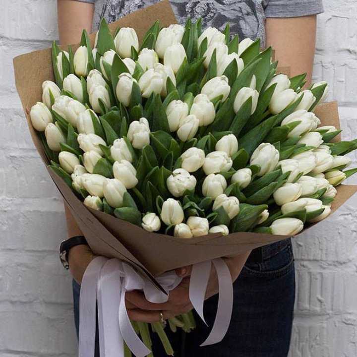 101 тюльпан сноу в Уфе