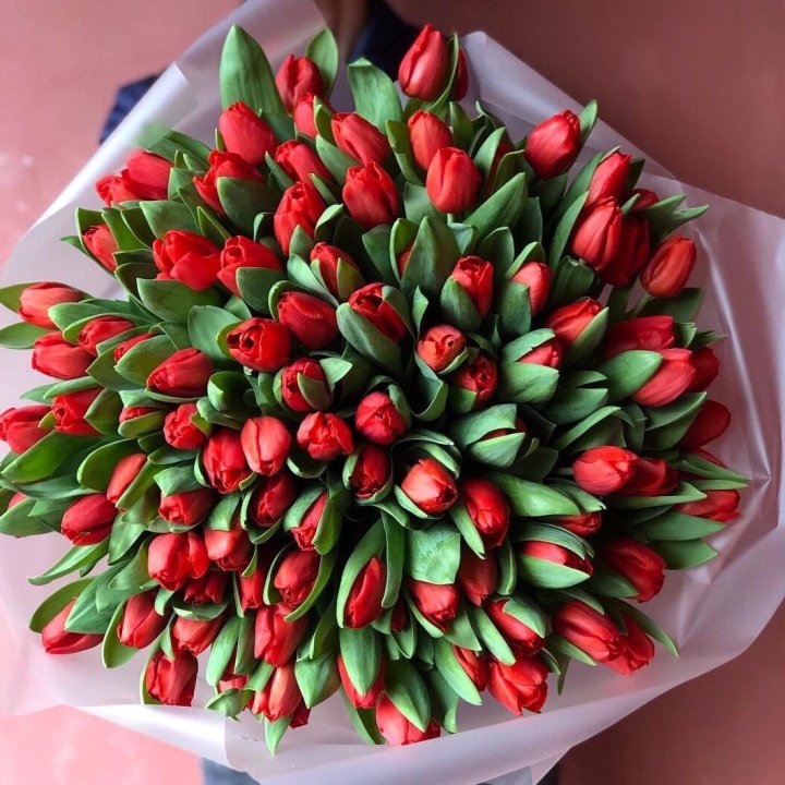 101 красный тюльпан в Уфе